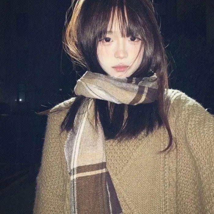 蚊子海岸